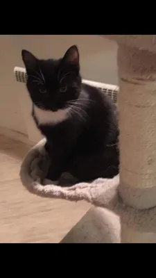 Milo E