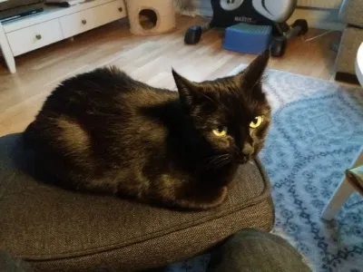 Luna