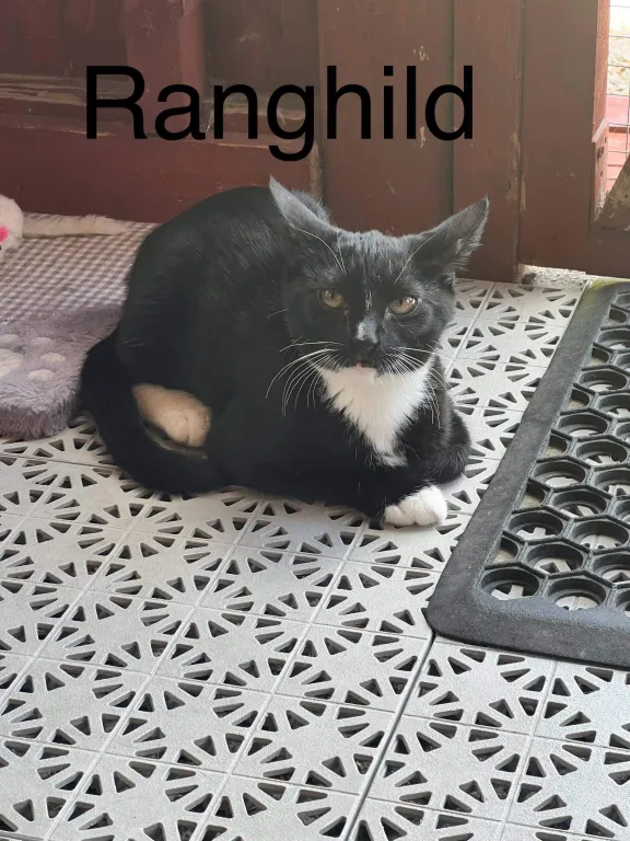 Ragnhild