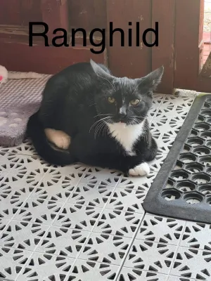 Ragnhild