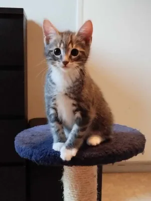 Ginny