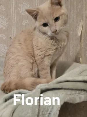 Florian