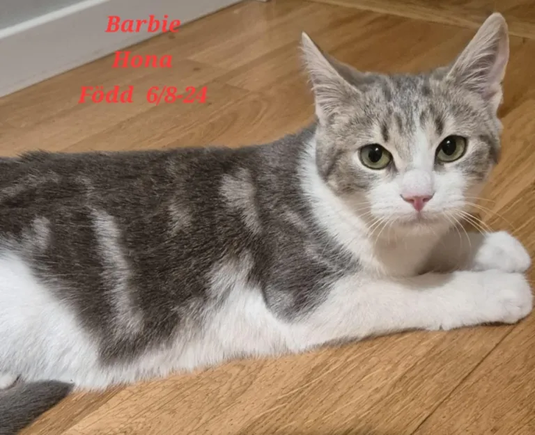 Barbie