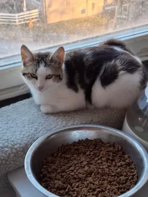 Mimi