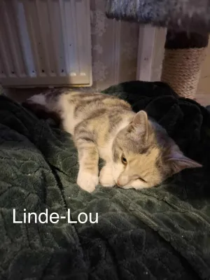 Linde-Lou