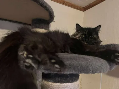 Zoe