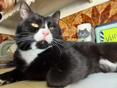 Kevin