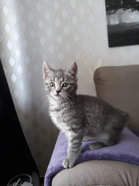 Winnie