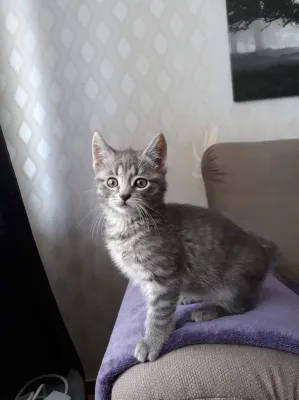 Winnie