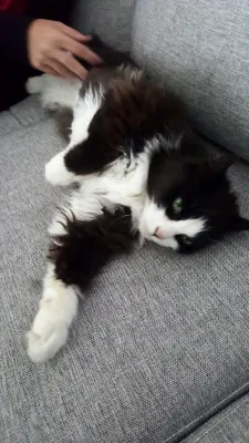 Sanny