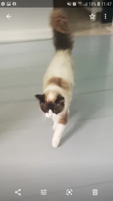 Henry E