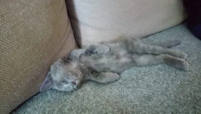 Hera