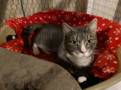 Max