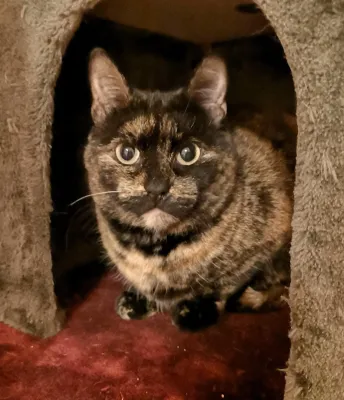 Matilda L