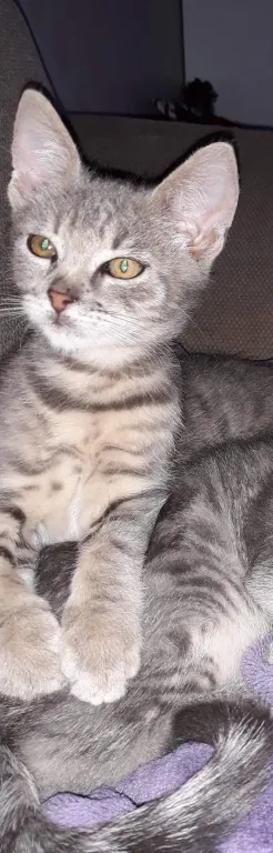 Boris