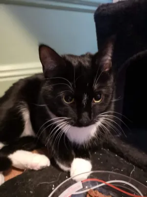 Luna