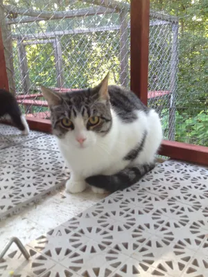 Bernard