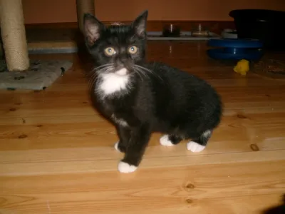 Billy