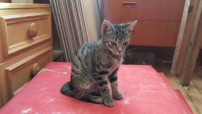 Biter