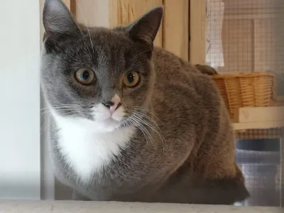 Clara