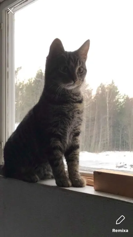 Håkan Ö