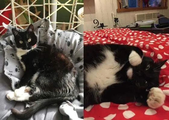 Freja och Frida