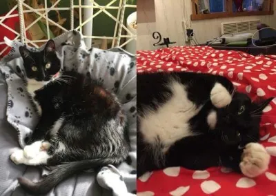 Freja och Frida