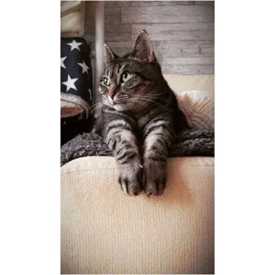 Doris