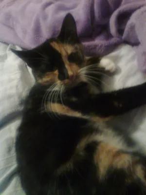 Ester