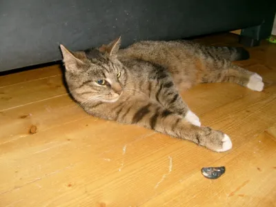 Fiona