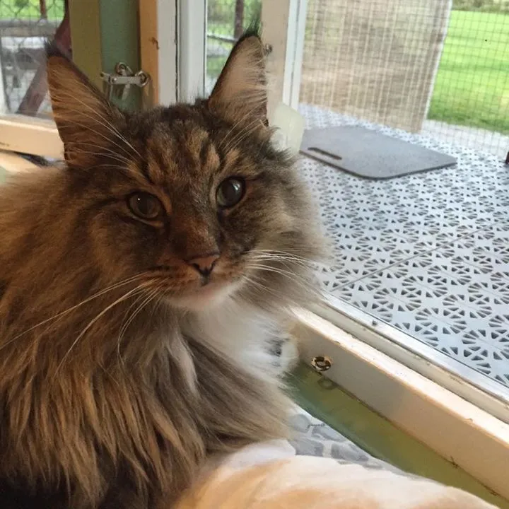 Hugo