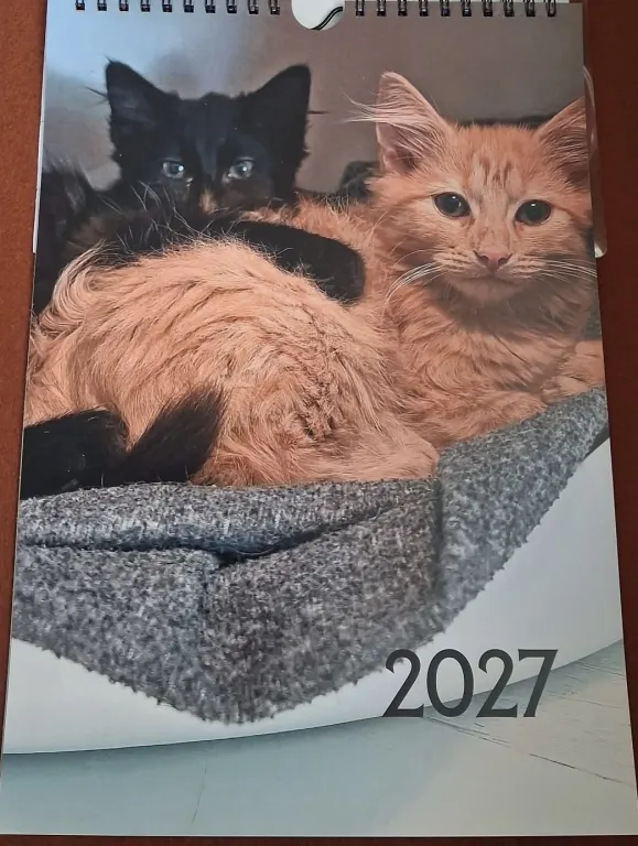�
  rets Kalender