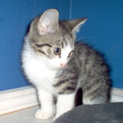 Isak