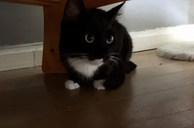 JumperH