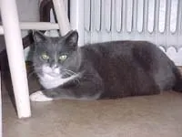 Kurre 2