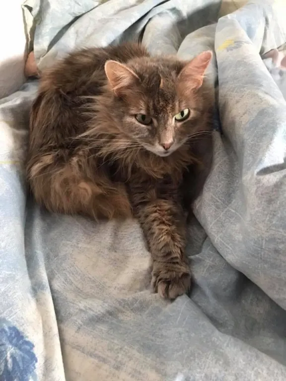 Lucy