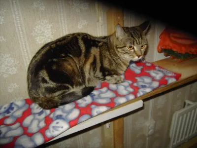 Matilda