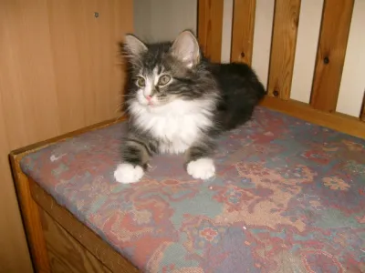 Minnie