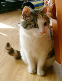 Olivia