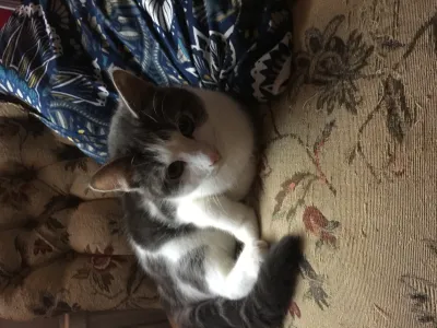 Percy