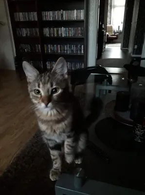 Charlie