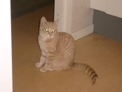 Cilla 2