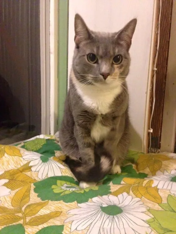 Dagny