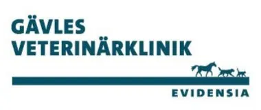 Evidensia Gefle