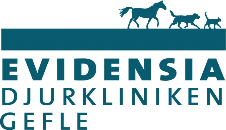 Evidensia Gefle