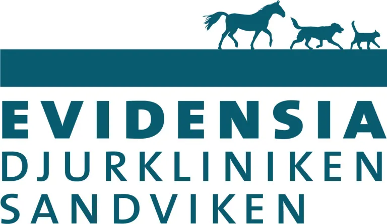 Evidensia Sandviken
