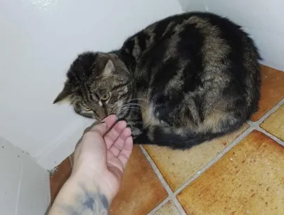 Pär