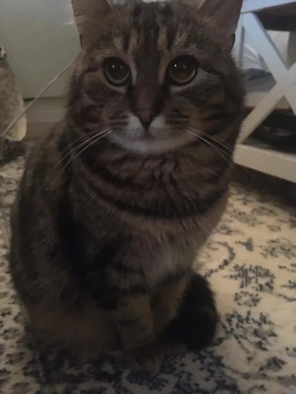 Sören