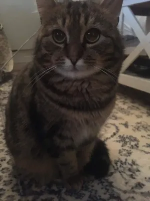 Sören