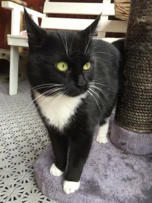 Titus